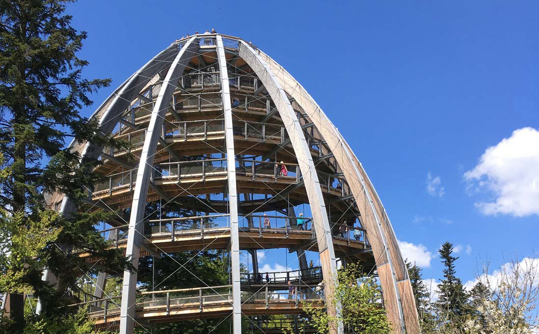 Baumturm am Baumwipfelpfad bayerischer Wald
